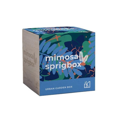 Mimosa Grow Kit - Giften Market