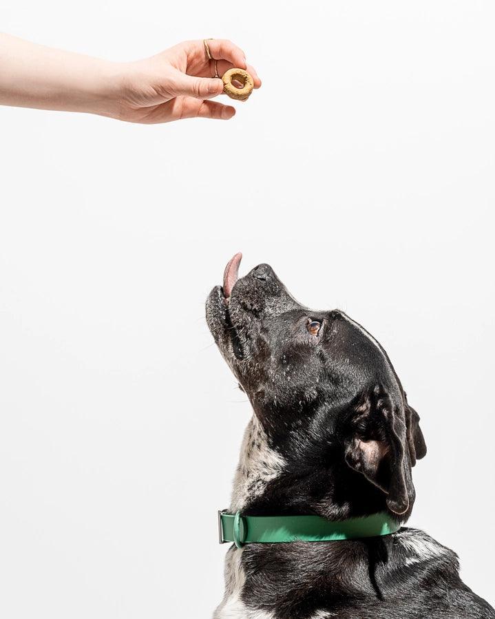 Organic Baked Dog Treats - Pumpkin Spice - Giften Market