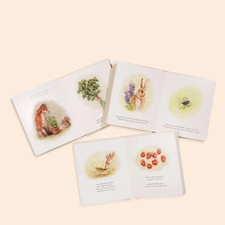 Our Little Adventures Box Set For Kids - Giften Market