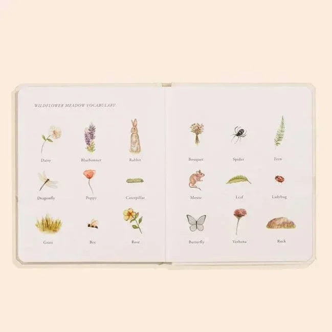 Our Little Adventures Box Set For Kids - Giften Market
