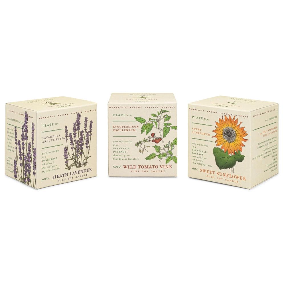 Plant the Box Votive Set - Endless Summer - Giften Market