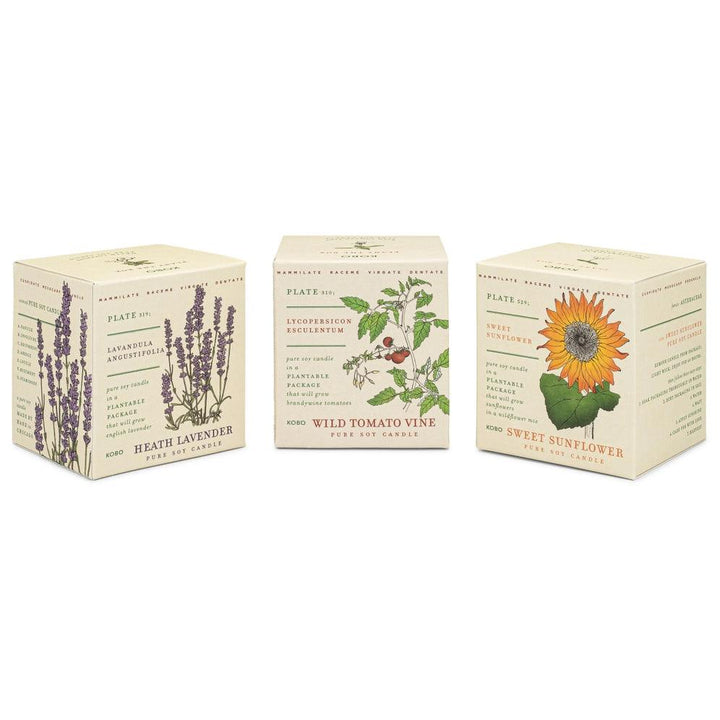 Plant the Box Votive Set - Endless Summer - Giften Market