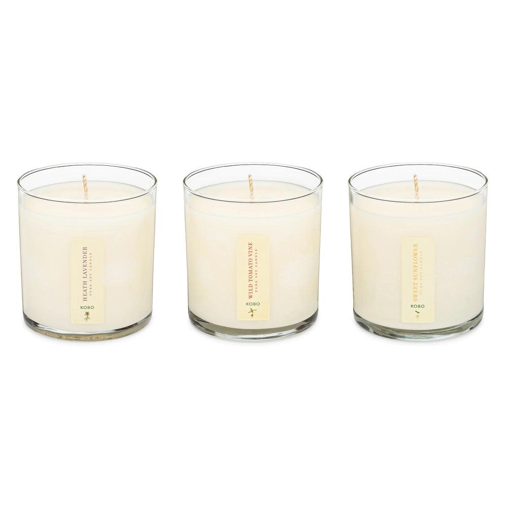 Plant the Box Votive Set - Endless Summer - Giften Market