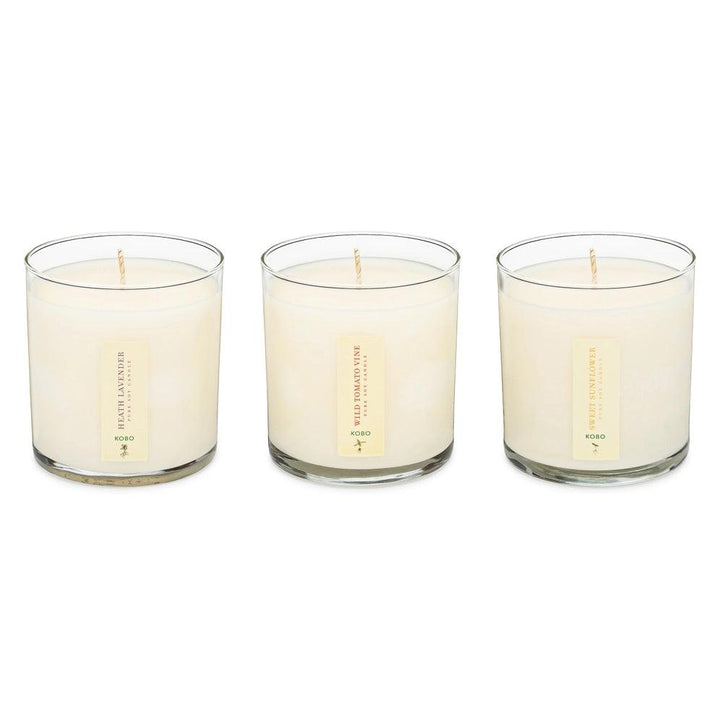 Plant the Box Votive Set - Endless Summer - Giften Market
