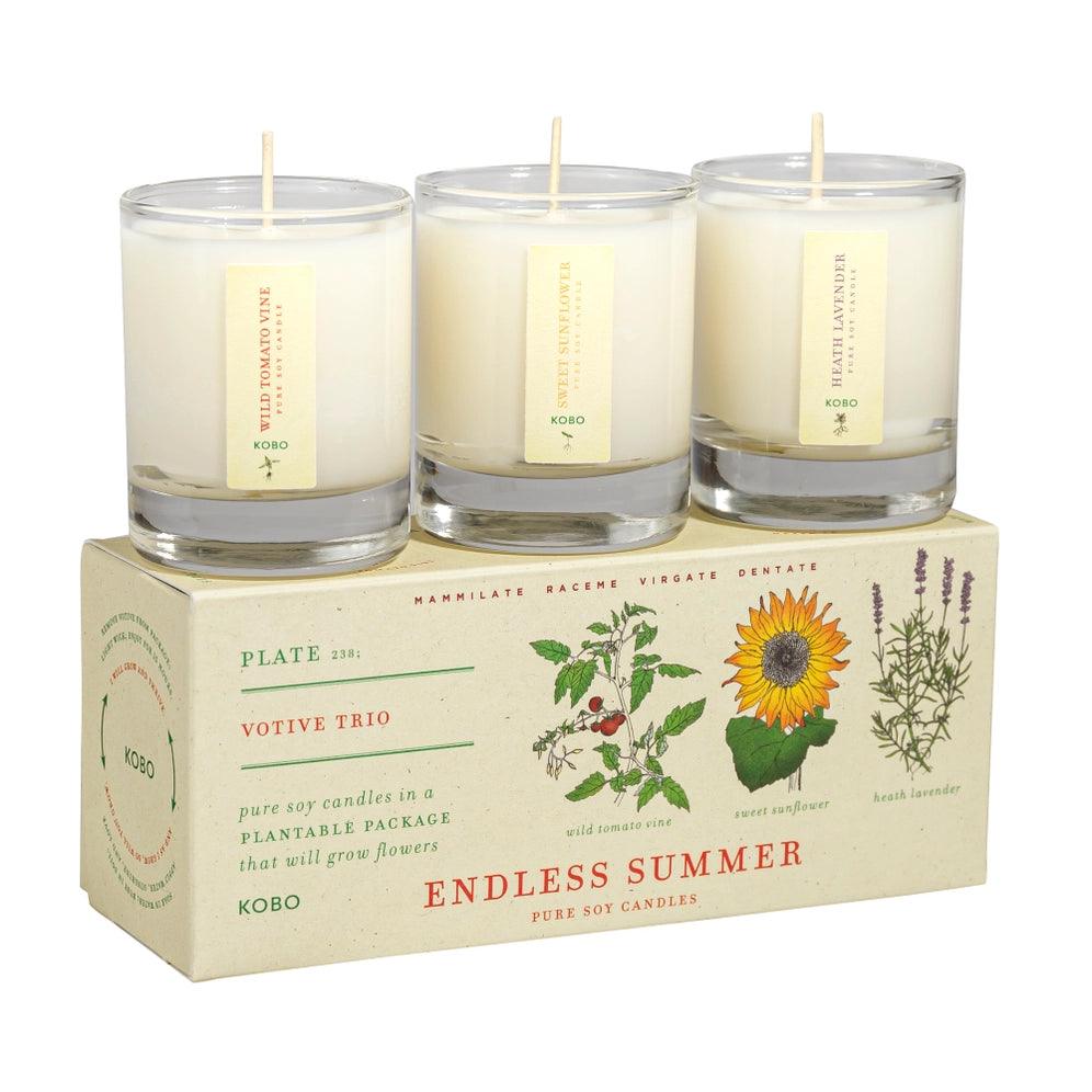 Plant the Box Votive Set - Endless Summer - Giften Market