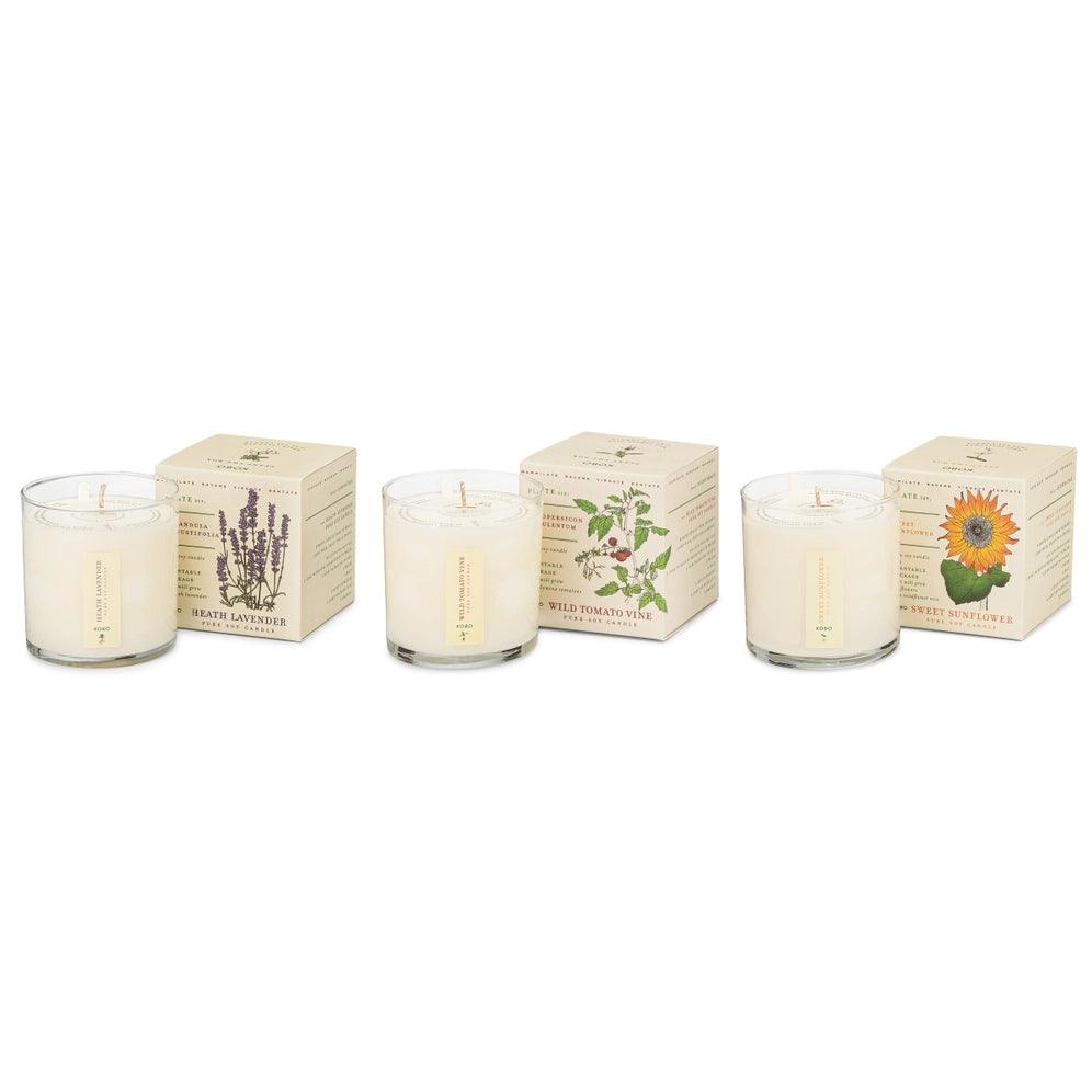 Plant the Box Votive Set - Endless Summer - Giften Market