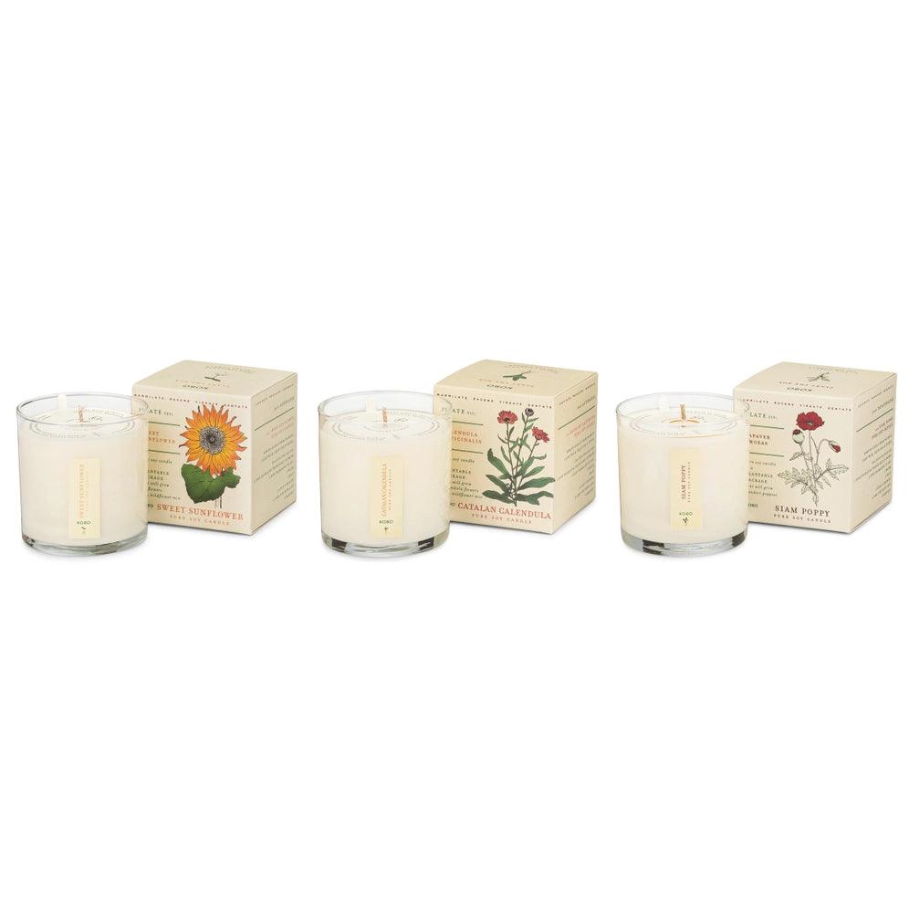 Plant the Box Votive Set - Floral Bouquet - Giften Market