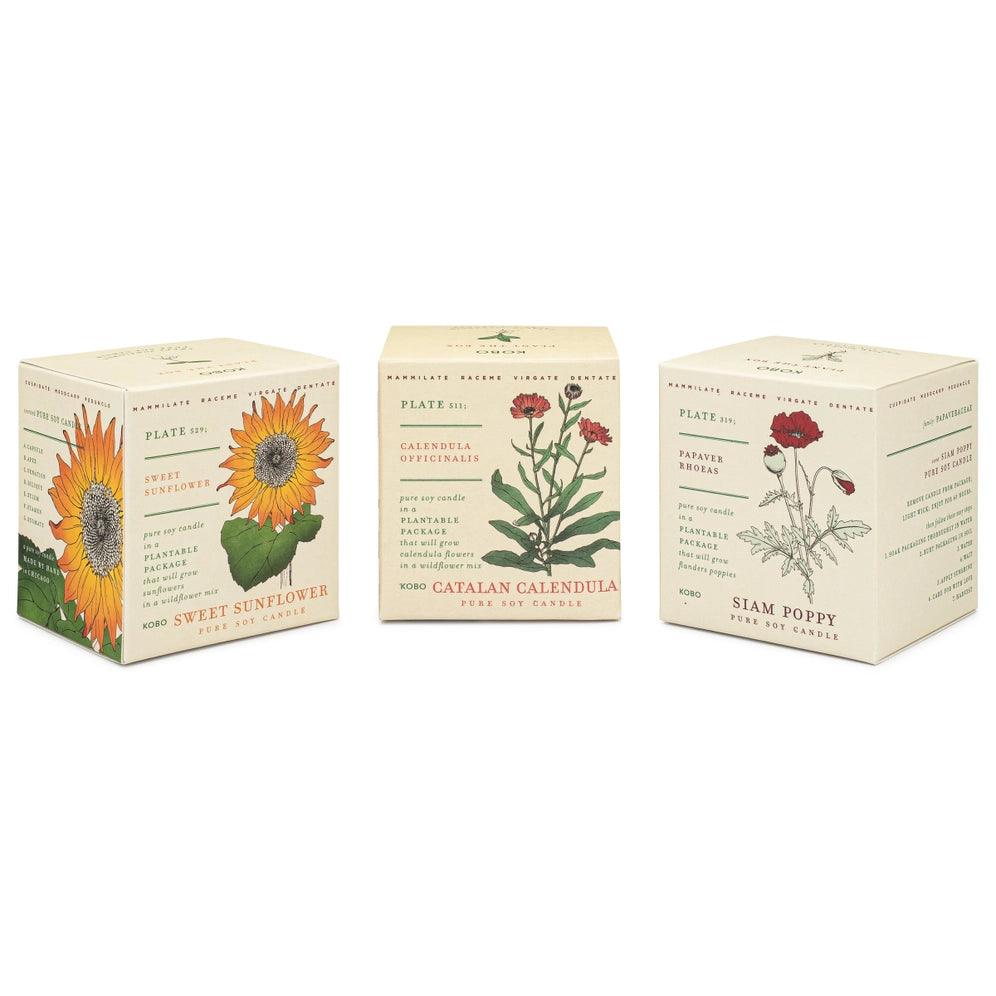 Plant the Box Votive Set - Floral Bouquet - Giften Market