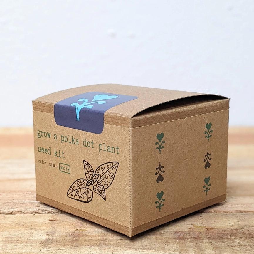 Polka Dot Plant Kit - Pink