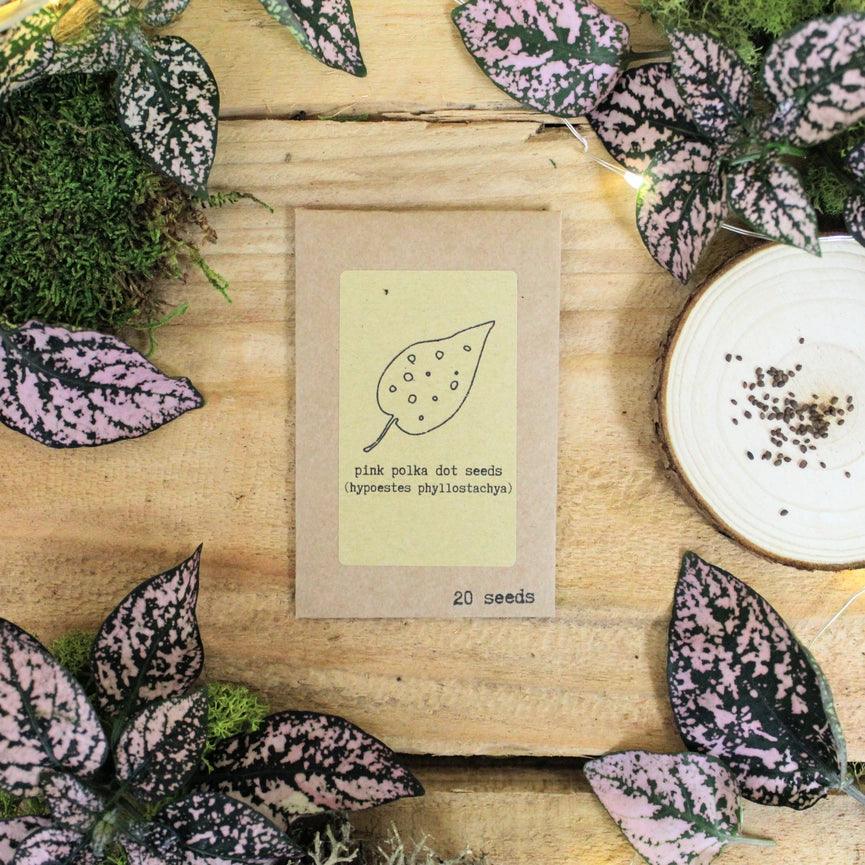 Polka Dot Plant Kit - Pink - Giften Market