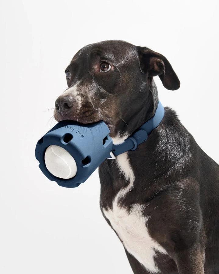 Spruce Tennis Tumble Dog Toy - Giften Market
