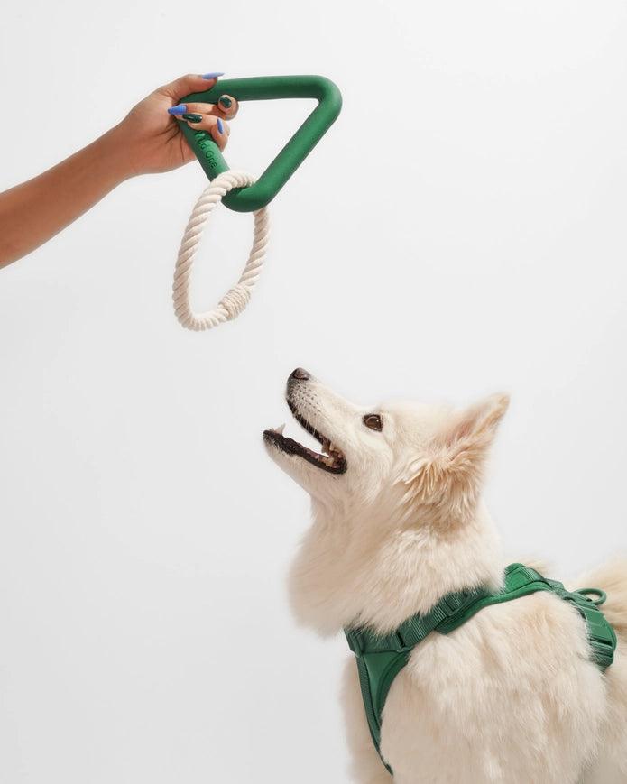 Spruce Triangle Tug Toy - Giften Market
