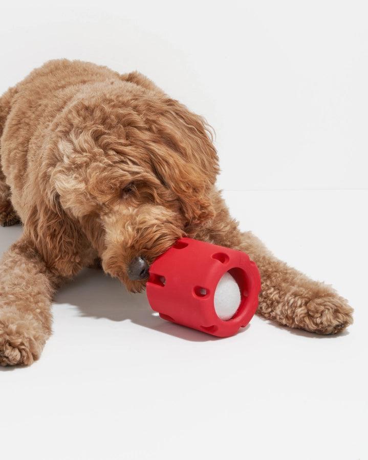 Strawberry Tennis Tumble Dog Toy - Giften Market