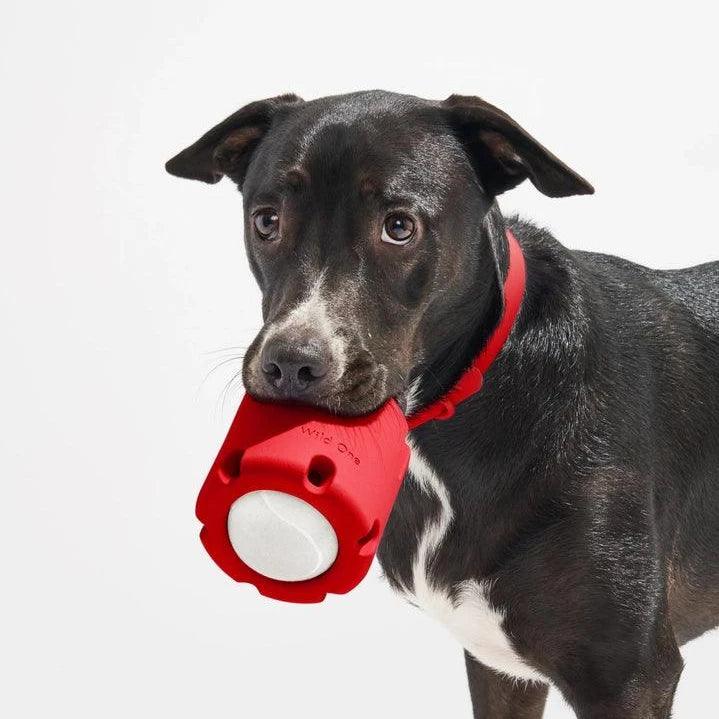 Strawberry Tennis Tumble Dog Toy - Giften Market