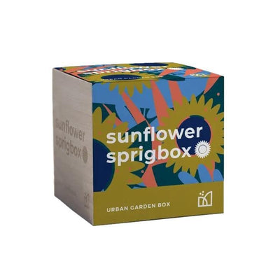 Sunflower Grow Kit - Giften Market