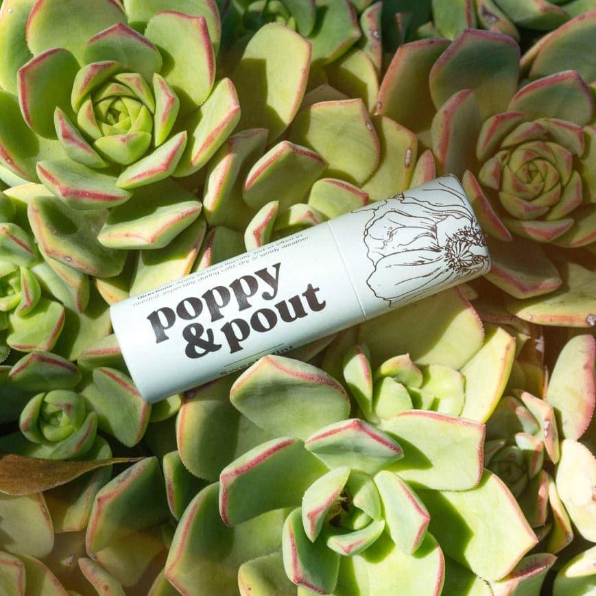 Sweet Mint Natural Lip Balm - Giften Market