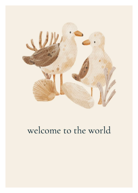 Welcome to the World - Shorebirds