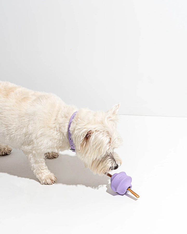 Lilac Twist Toss Toy - Giften Market